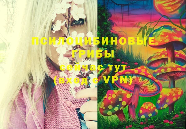 ECSTASY Абдулино