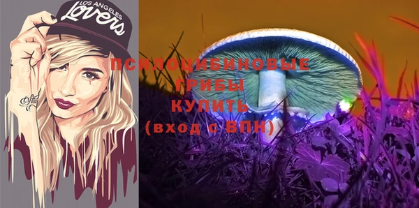 твердый Абаза